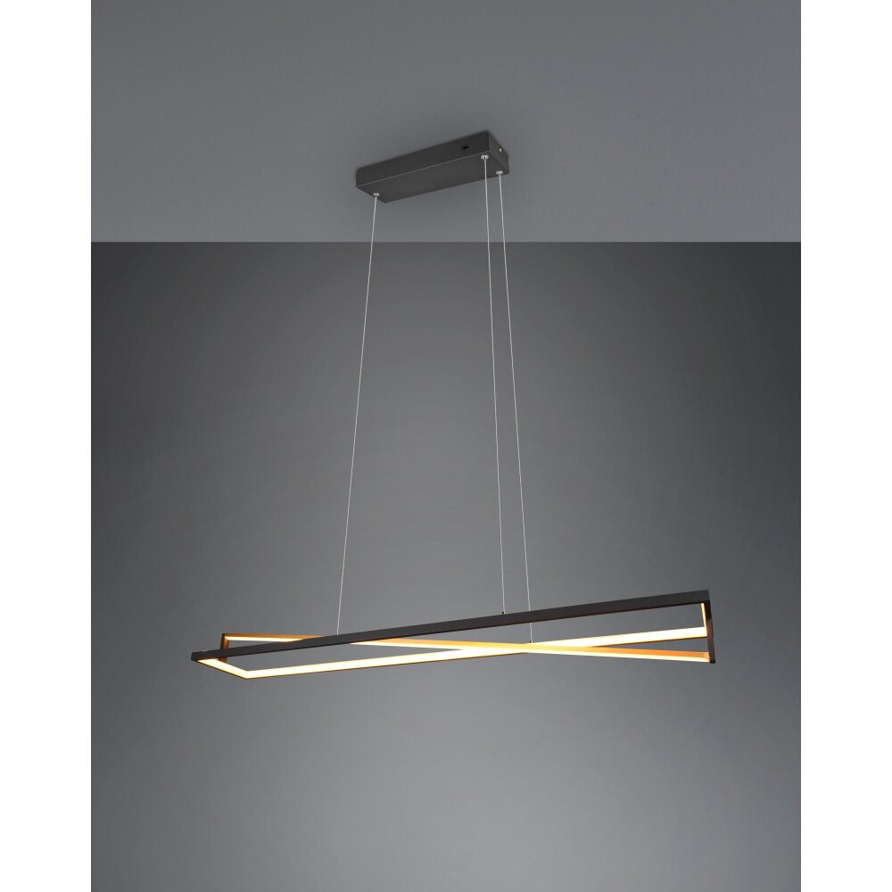Trio-Leuchten Edge Lámpara Colgante LED Negro, 1 luz main product photo