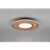 Trio-Leuchten Deacon Lámpara de Techo LED Marrón, 1 luz