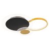Globo SENNA Lámpara de Techo LED Negro, 1 luz, Mando a distancia