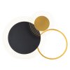 Globo SENNA Lámpara de Techo LED Negro, 1 luz, Mando a distancia