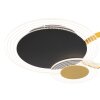 Globo SENNA Lámpara de Techo LED Negro, 1 luz, Mando a distancia