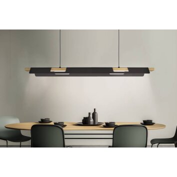 Eglo-Leuchten ERMUA Lámpara Colgante LED Marrón, Negro, 1 luz