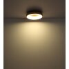 Globo JOLLI Lámpara de Techo LED Color madera, 1 luz, Mando a distancia