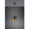 Trio-Leuchten Harris Lámpara Colgante Negro, 1 luz