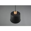 Trio-Leuchten Harris Lámpara Colgante Negro, 1 luz