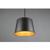 Trio-Leuchten Harris Lámpara Colgante Negro, 1 luz