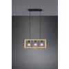 Trio-Leuchten Agra Lámpara Colgante Negro, 3 luces