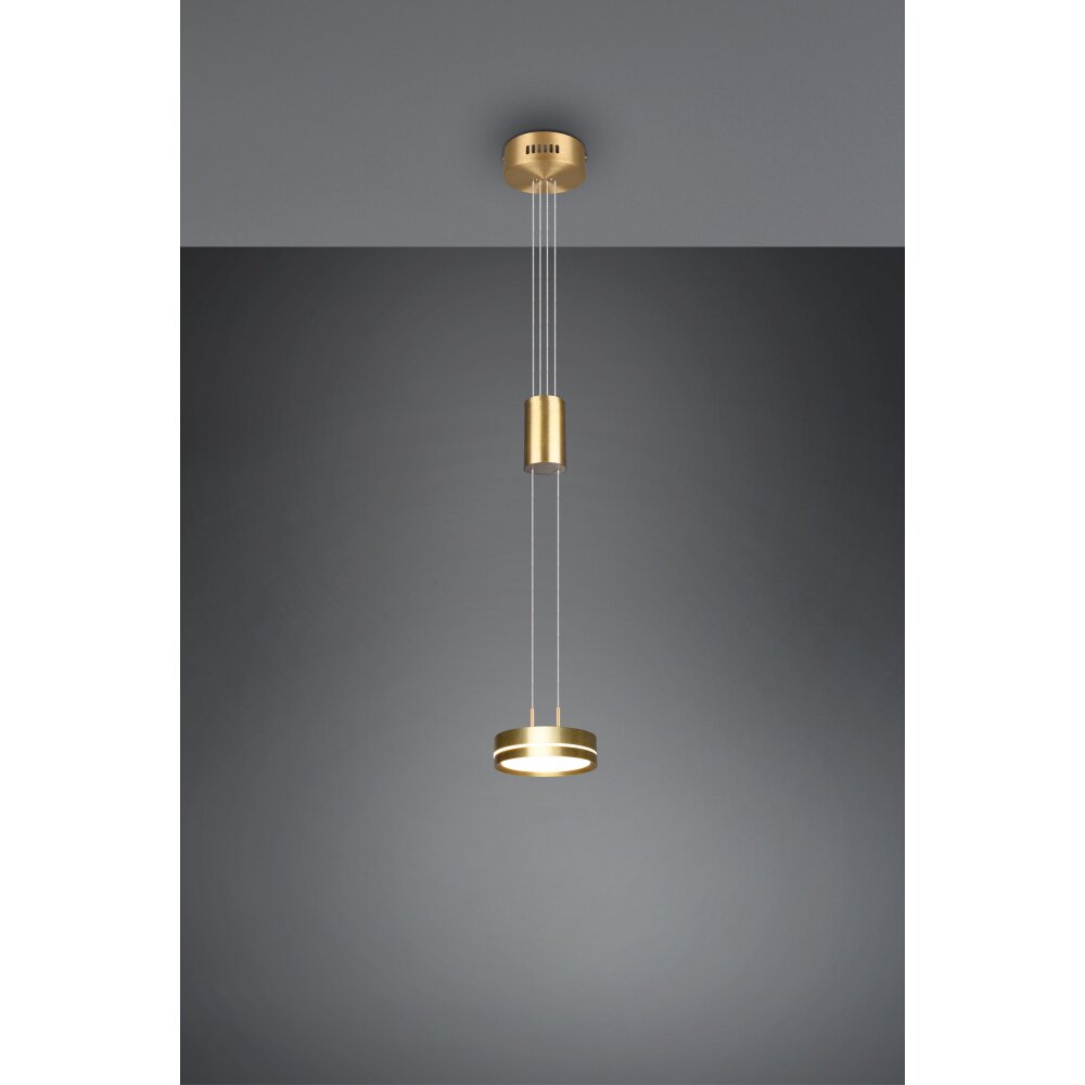 Trio-Leuchten Franklin Lámpara Colgante LED Latón, 1 luz main product photo