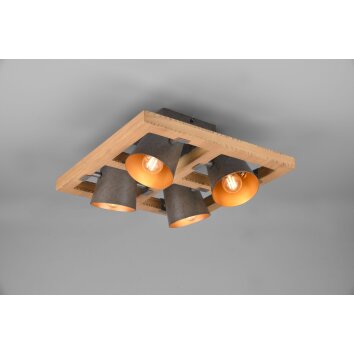 Trio-Leuchten Bell Lámpara de Techo marrón oscuro, Níquel-mate, 4 luces