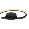 Globo JULES Lámpara de Techo LED Negro, 1 luz