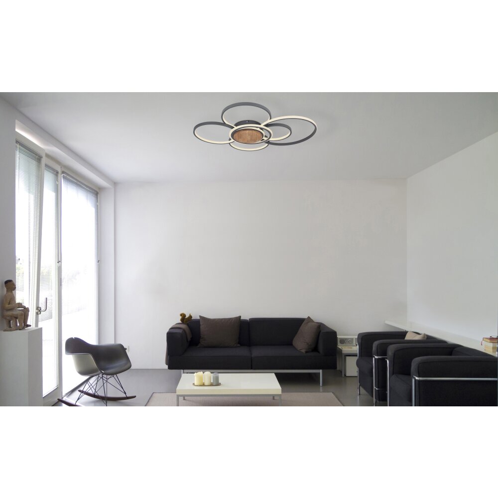 Globo NIRRA Lámpara de Techo LED Negro, 1 luz, Mando a distancia main product photo