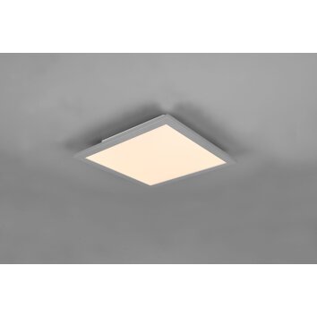 Reality Alpha Lámpara de Techo LED Titanio, 1 luz
