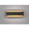 Trio-Leuchten Arino Aplique LED Negro, 1 luz