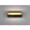 Trio-Leuchten Arino Aplique LED Negro, 1 luz