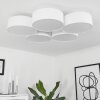Purus Lámpara de Techo LED Blanca, 1 luz