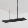 Luturula Lámpara Colgante LED Negro, 1 luz