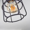 Loedingen Lámpara de Techo Negro, 5 luces