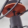 Loedingen Lámpara de Techo Negro, 5 luces