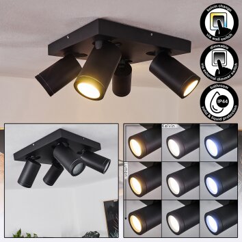 Hakamken Lámpara de Techo LED Negro, 4 luces