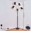 Bathinda Lámpara de Pie Color cobre, Negro, 5 luces