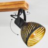 Racolo Lámpara de Techo Madera oscura, 2 luces