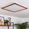 Raimea Lámpara de Techo LED Blanca, 1 luz