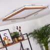 Raimea Lámpara de Techo LED Blanca, 1 luz