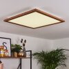 Raimea Lámpara de Techo LED Blanca, 1 luz