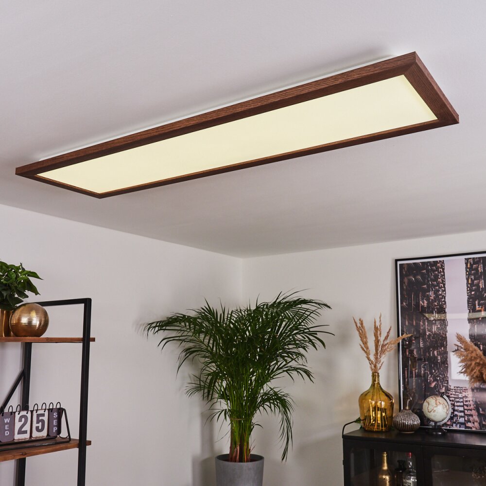 Raimea Lámpara de Techo LED Blanca, 1 luz main product photo