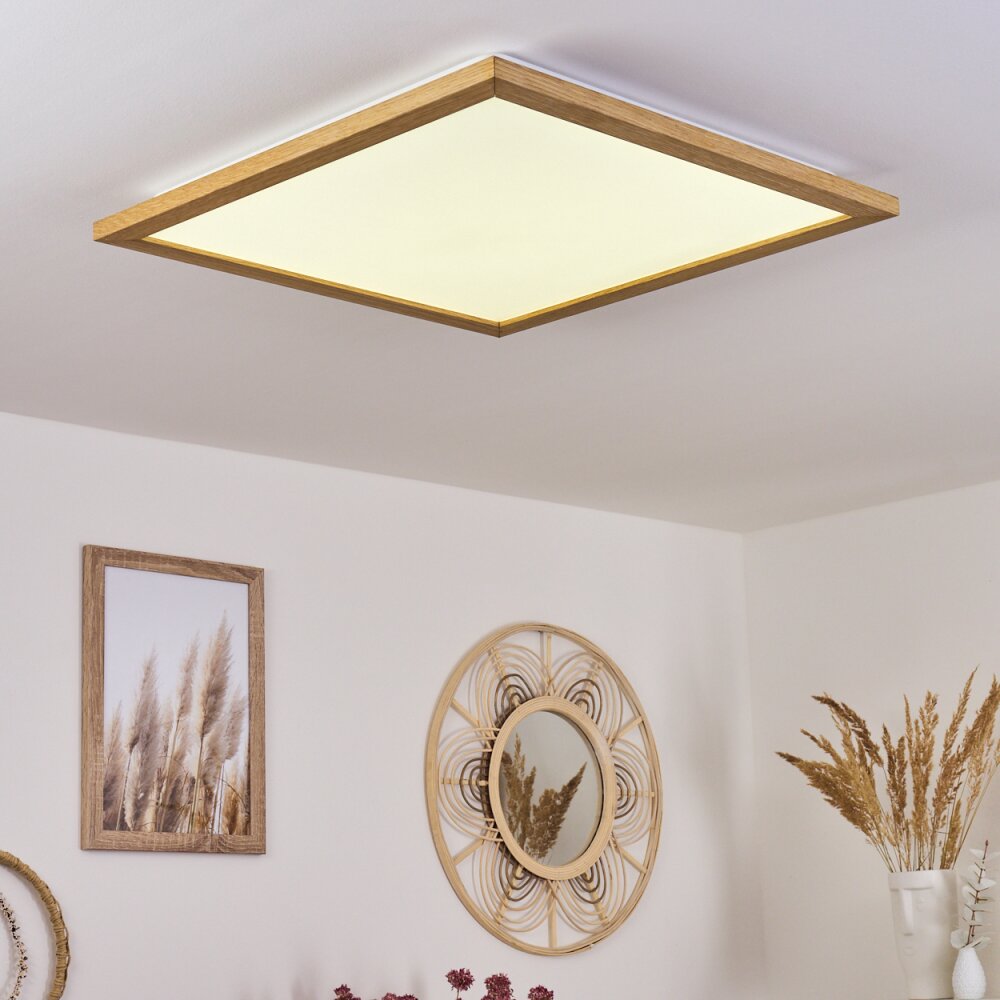 Raimea Lámpara de Techo LED Blanca, 1 luz main product photo