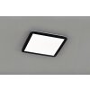 Reality CAMILLUS Lámpara de Techo LED Negro, 1 luz