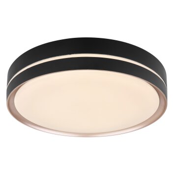 Globo MANNI Lámpara de Techo LED Blanca, 1 luz, Mando a distancia