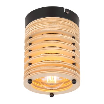 Globo RUTH Lámpara de Techo Negro, 1 luz