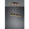 Trio-Leuchten Harris Lámpara Colgante Negro, 4 luces