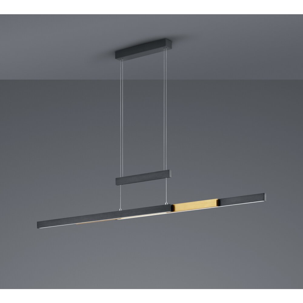 Trio-Leuchten Trajan Lámpara Colgante LED Negro, 1 luz main product photo