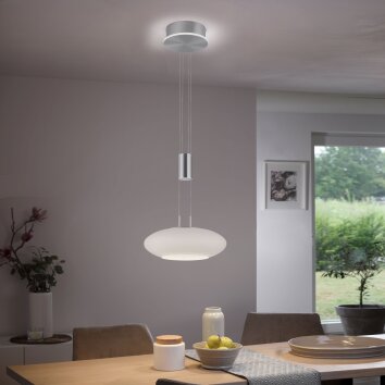 Paul-Neuhaus Q-ETIENNE Lámpara Colgante LED Acero bruñido, 2 luces, Mando a distancia