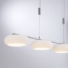 Paul-Neuhaus Q-ETIENNE Lámpara Colgante LED Acero bruñido, 4 luces, Mando a distancia