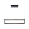 Paul-Neuhaus CONTURA Lámpara Colgante LED Negro, 4 luces