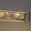 Paul-Neuhaus CONTURA Lámpara Colgante LED Negro, 4 luces