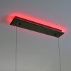 Paul-Neuhaus Q-ARIAN Lámpara Colgante LED Antracita, 4 luces, Mando a distancia