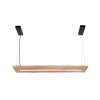 Paul-Neuhaus PALMA Lámpara Colgante LED Crudo, Negro, 1 luz, Mando a distancia