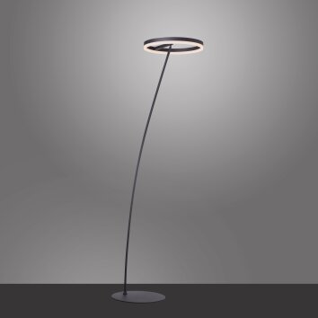 Paul-Neuhaus TITUS Lámpara de Pie Antracita, 1 luz