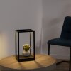 Paul-Neuhaus CONTURA Lámpara de mesa LED Negro, 2 luces