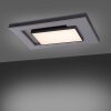 Paul-Neuhaus Q-ALTA Lámpara de Techo LED Negro, 1 luz, Mando a distancia