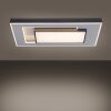 Paul-Neuhaus Q-ALTA Lámpara de Techo LED Negro, 1 luz, Mando a distancia