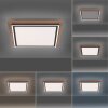 Paul-Neuhaus PALMA Lámpara de Techo LED Crudo, Negro, 2 luces, Mando a distancia