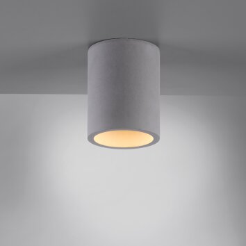 Paul-Neuhaus ETON Lámpara de Techo Gris, Negro, 1 luz