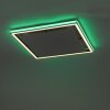 Paul-Neuhaus HELIX Lámpara de Techo LED Aluminio, 2 luces, Mando a distancia