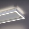 Paul-Neuhaus Q-KAAN Lámpara de Techo LED Acero bruñido, 2 luces, Mando a distancia