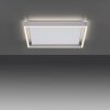 Paul-Neuhaus Q-KAAN Lámpara de Techo LED Acero bruñido, 2 luces, Mando a distancia